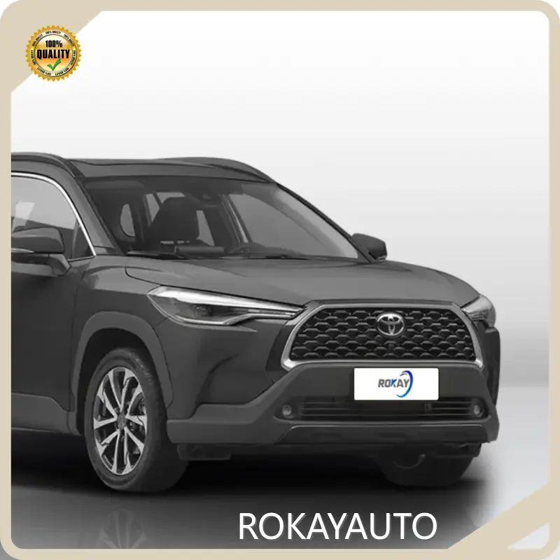 Latest Petrol Hybrid Suv Manual ROKAYAUTO Company 1
