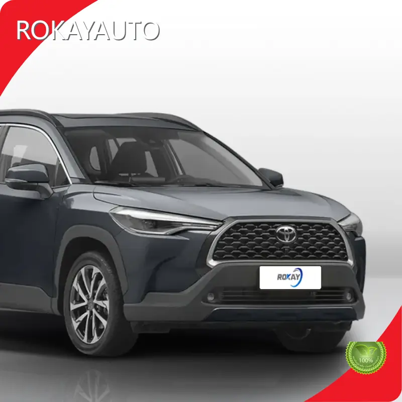 Best Small Petrol Suv Supply ROKAYAUTO New 1