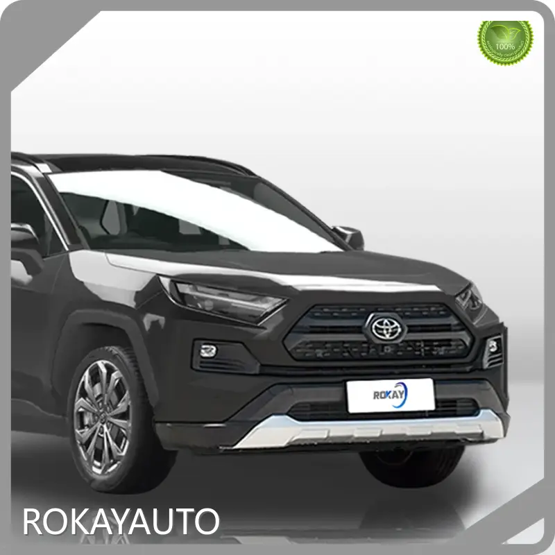 High-quality Best Petrol Suv 2023 ROKAYAUTO Brand 1