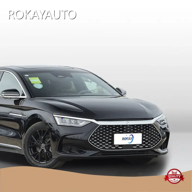 Top-Quality Electric Car Luxury Sedan New ROKAYAUTO Brand 1