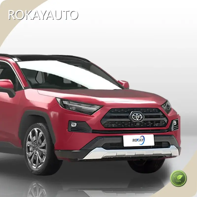 ROKAYAUTO Petrol Sedan Car Panoramic SunroofCompany 1