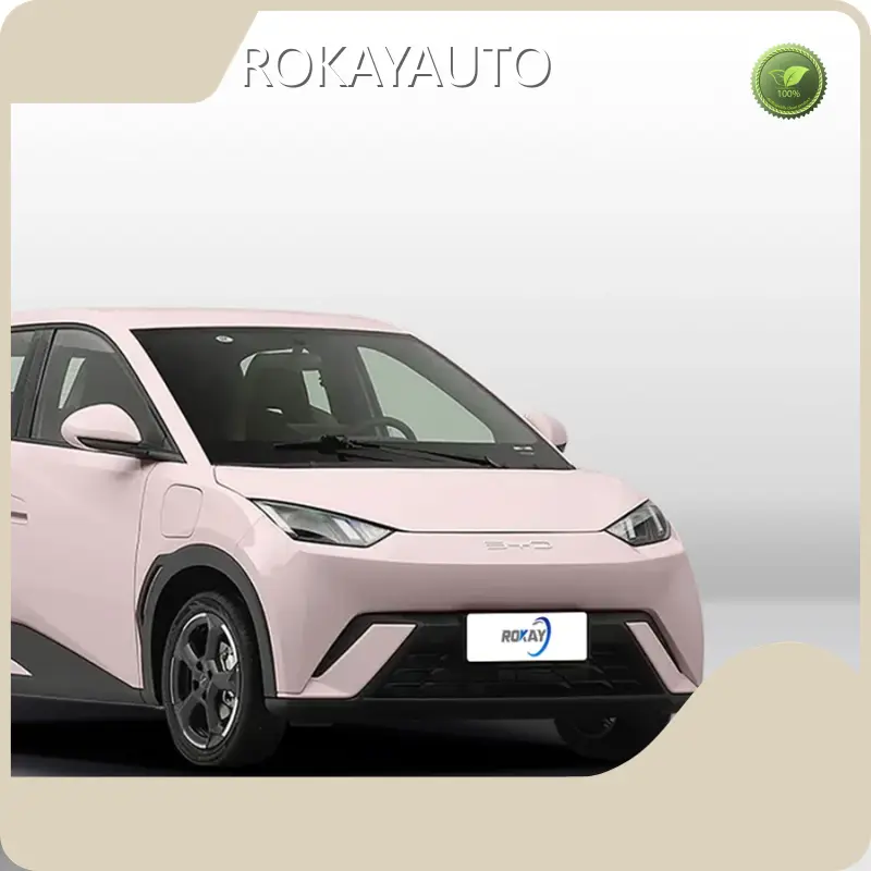 Best Most Efficient Electric Vehicle Suppliers 1