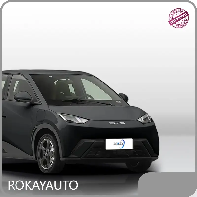 Top Ev Car Suppliers 1