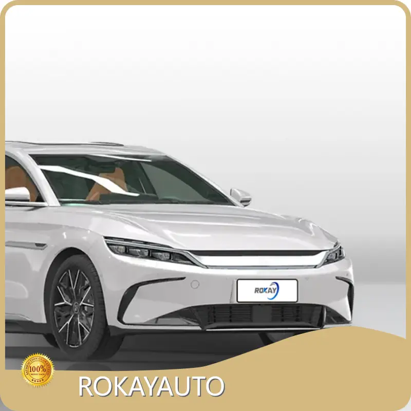 Professional New Energy Cars Company 1