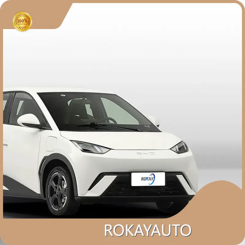 ROKAYAUTO Electric Car Luxury Sedan LEDDealer 1