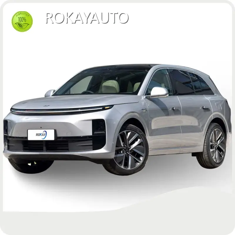 ROKAYAUTO Leading Electric Car Manufacturers Front 4+Rear 4Company 1