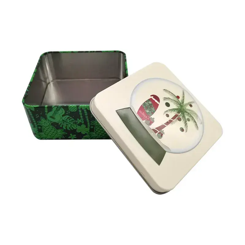 Entreprise de vente en gros de boîtes de biscuits verts 4