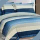 Gray Comforter Set Queen with Good Price for BedAll-Season 1