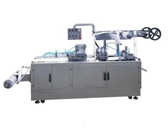 Heat Wraps Packing Machine (DPB-160) 1