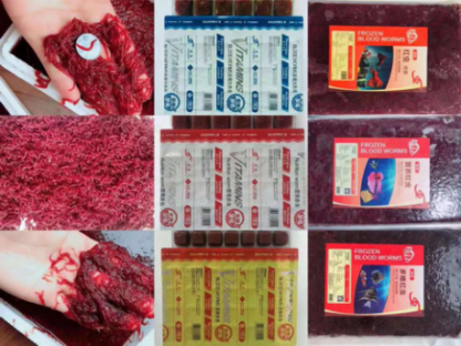 Blisterverpackungsmaschine für Fischfutter (Blutwurm). 3