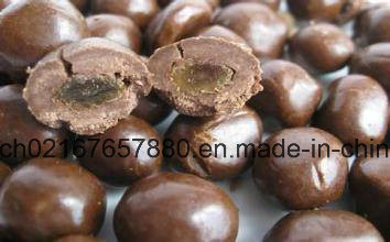 Water Chestnut Simplified Sugar Tablet Chocolate and Film Coating Machine 7