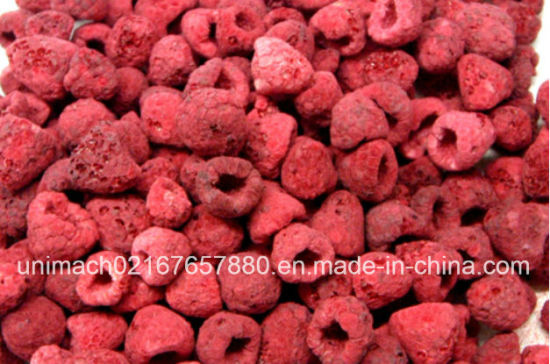 Vacuum Food Freeze Dryer Equipment for Fruit/Vegetables 4