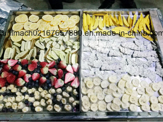 Vacuum Food Freeze Dryer Equipment for Fruit/Vegetables 5