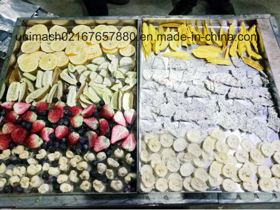 Pengering Beku Makanan Berkualitas Tinggi 4