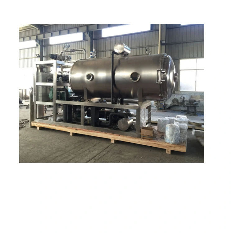 JDG-20m² Freeze Dryer for Fruit freeze-drying machine 1