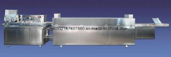 Machine d'impression de glaçage d'ampoule (YZG) 1