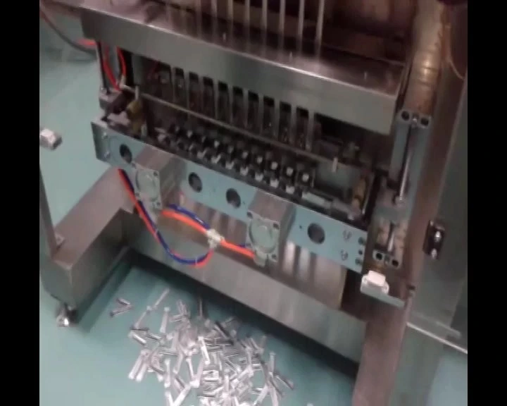 Four Side Sealing &Multi-Line Packing Machine 1
