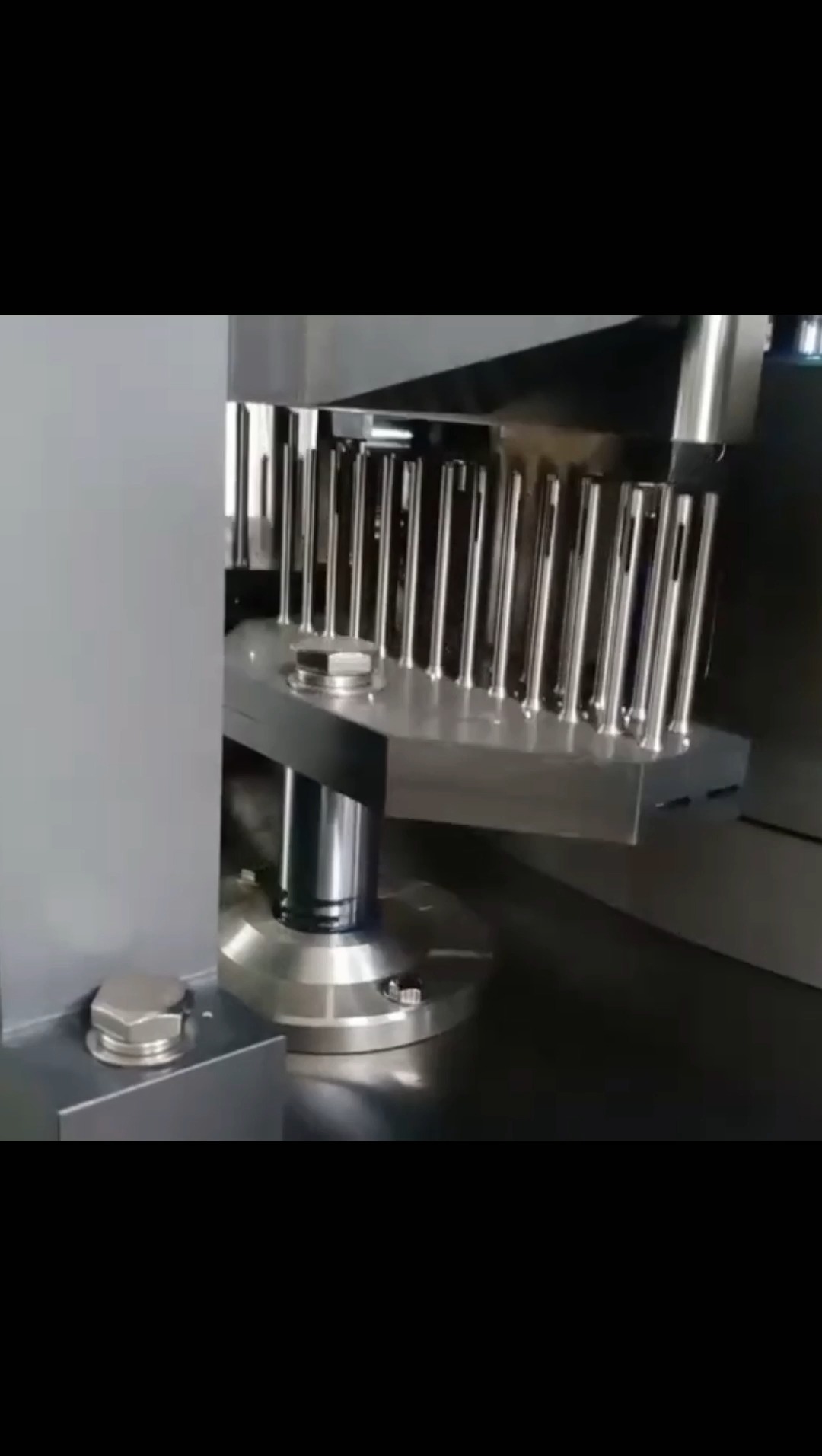 Llenadora de cápsulas totalmente automática NJP3500C 1