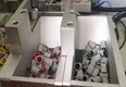 Automatic Screw Locking Machine by Yicheng 5