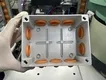 Junction Box Assembly Machine - - Yicheng 8
