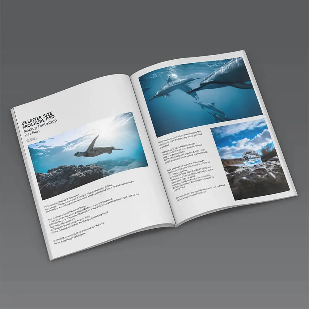 Catalogs Brochure Printing Flyer Pamphlet Leaflet Service A5 Pamphlets Design and Print 1