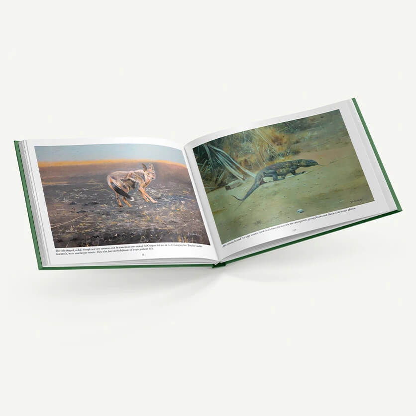empresa-de-impresión-de-libros-de-mesa-de-centro-personalizada
