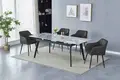 Okay Furniture Modern Lounge Chair NOdirectly Sale 3