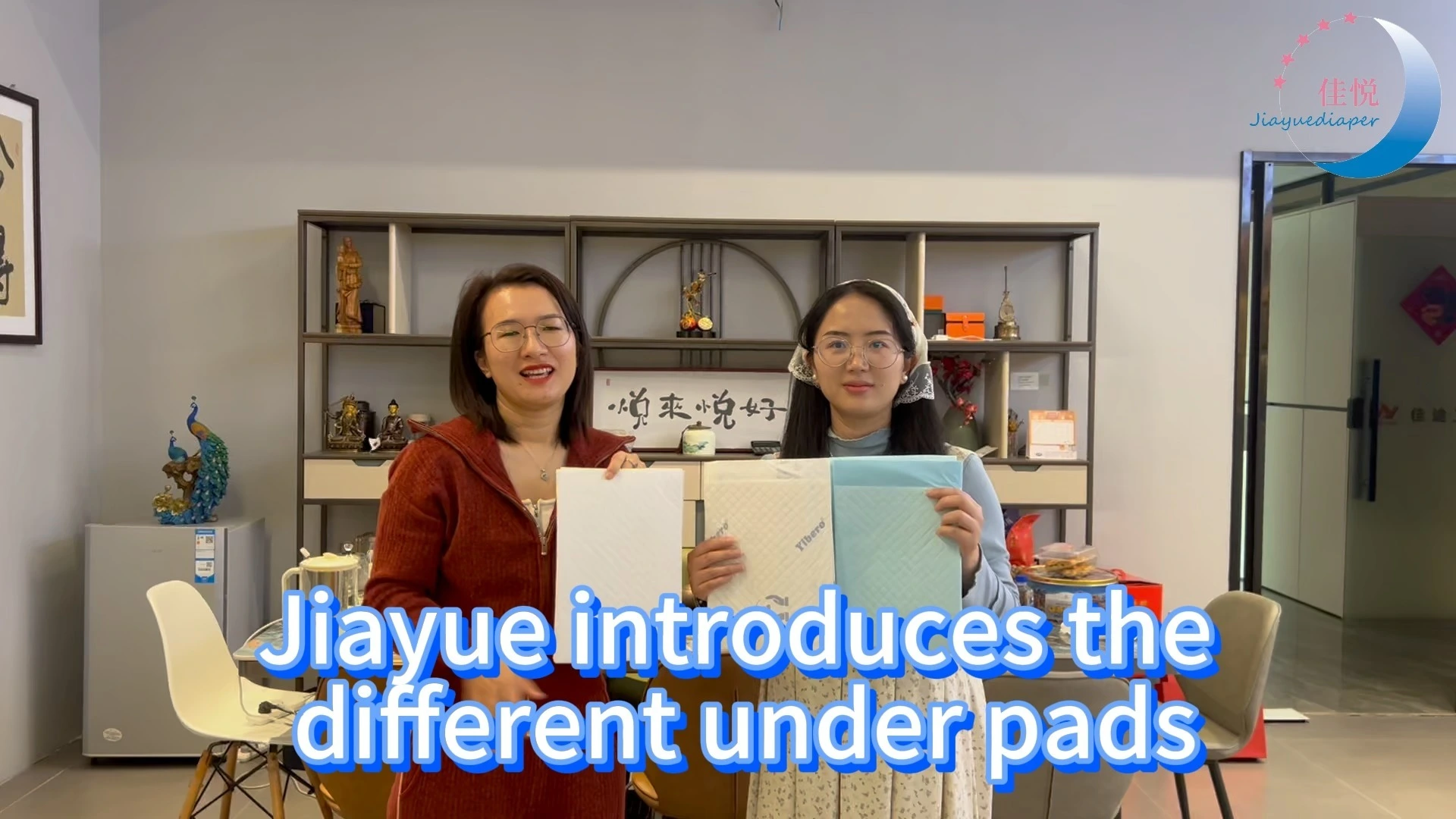 OEM Customized Underpad with CEISO 13485 Certificate Disposable Underpad for Adult Care China Manufacturer 1