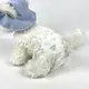 Pet Diaper by JIAYUE 6