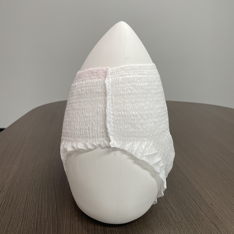 Factory Direct Price Menstrual Period Overnight Menstrual Panties Disposable Use Sanitary Napkins Pants 4