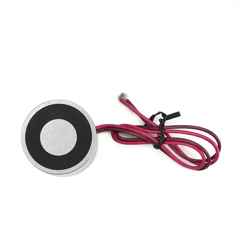 Factory Direct Electromagnet for Automobiles 7