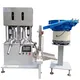 Filling Machine Manufacturer - - MAXWELL 4