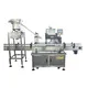 Automatic Screw Capping Machine - - MAXWELL-1 2