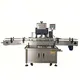 Automatic Screw Capping Machine - - MAXWELL-1 3