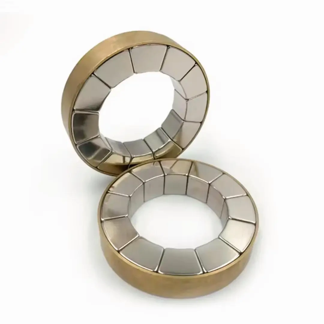 High End Halbach Array Magnets for Sale Halbach Array Magnets for Sale Company 2
