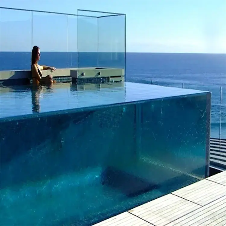 Custom Plexiglass Swimming Pool Company 5