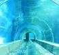Clear Acrylic Tunnels Aquariums & Accessories 93%Factory 7