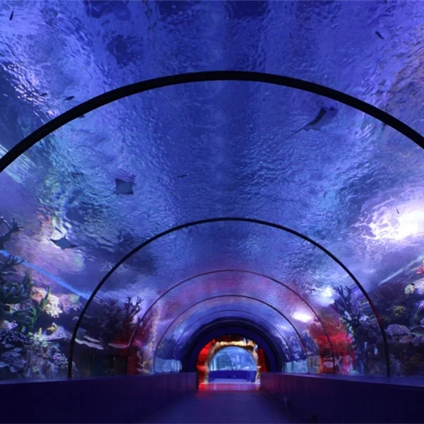 2025 customized acrylic tunnel for acrylic aquarium with the best price and quality 1