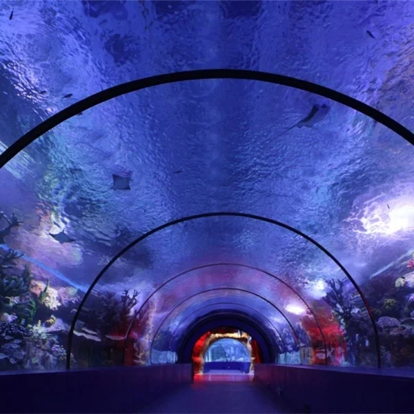 2024 customized acrylic tunnel for acrylic aquarium with the best price and quality-1721269507581853 1