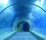 Clear Acrylic Tunnels Aquariums & Accessories 93%Factory 6