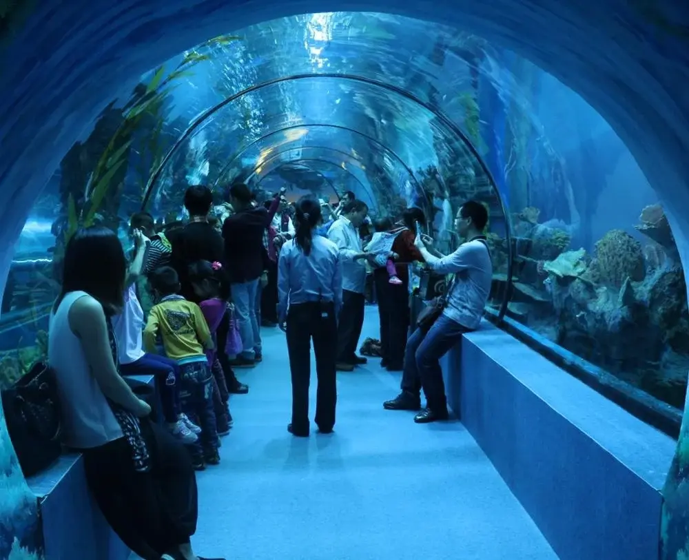 Clear Acrylic Tunnels Aquariums & Accessories 93%Factory 5