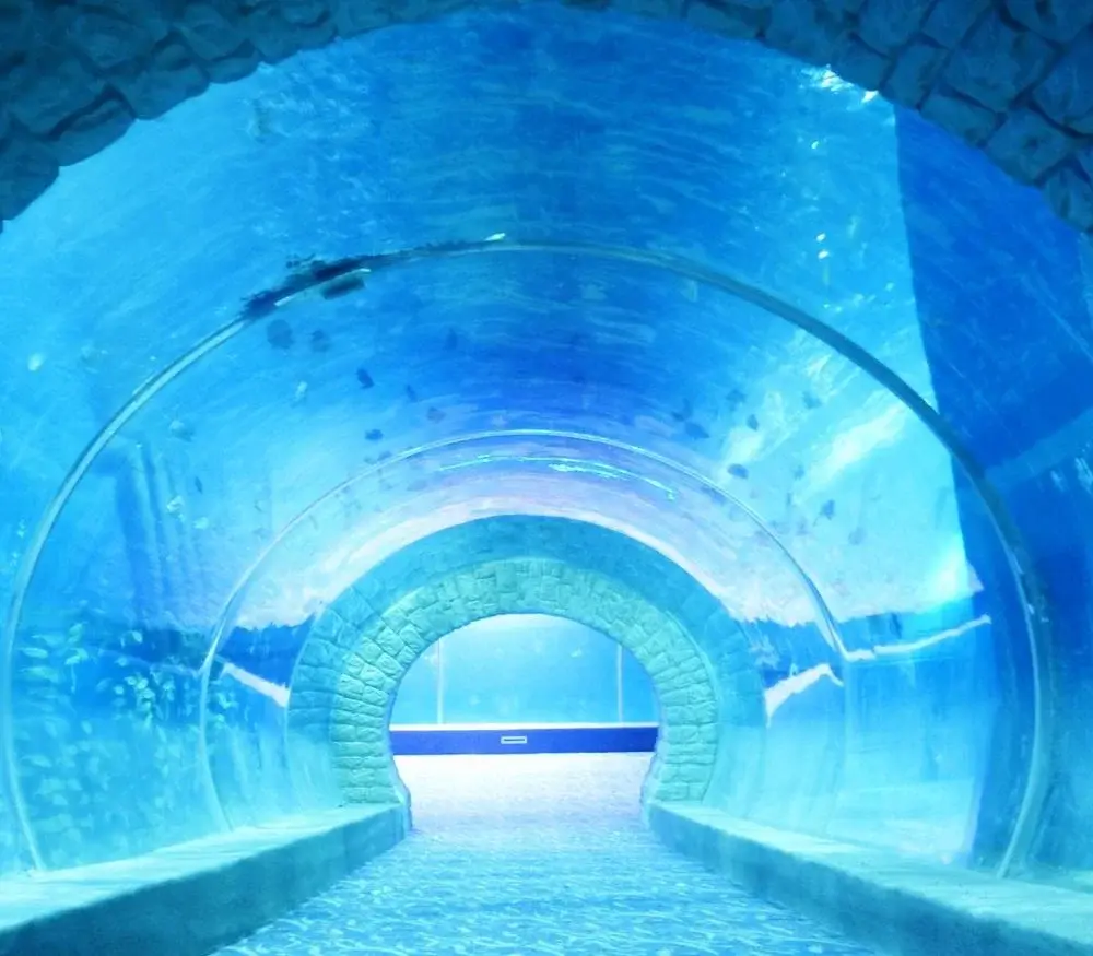Clear Acrylic Tunnels Aquariums & Accessories 93%Factory 4
