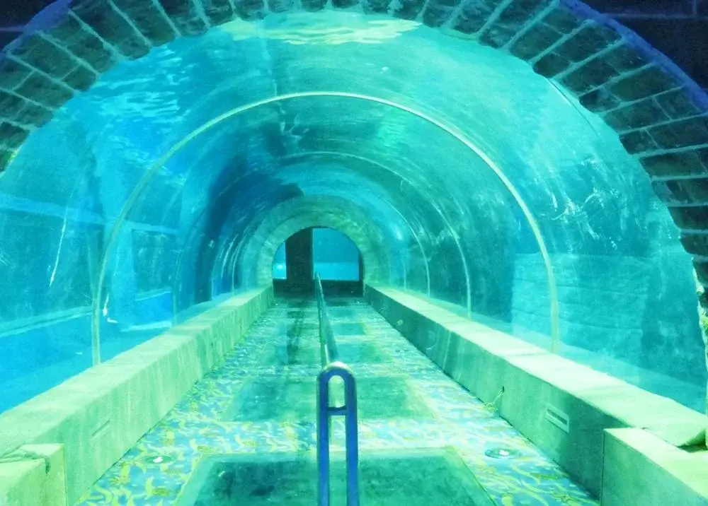 New Acrylic Tunnel Price List 4