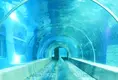 New Acrylic Tunnel Price List 5