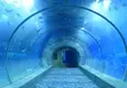 New Acrylic Tunnel Price List 2