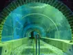 New Acrylic Tunnel Price List 3