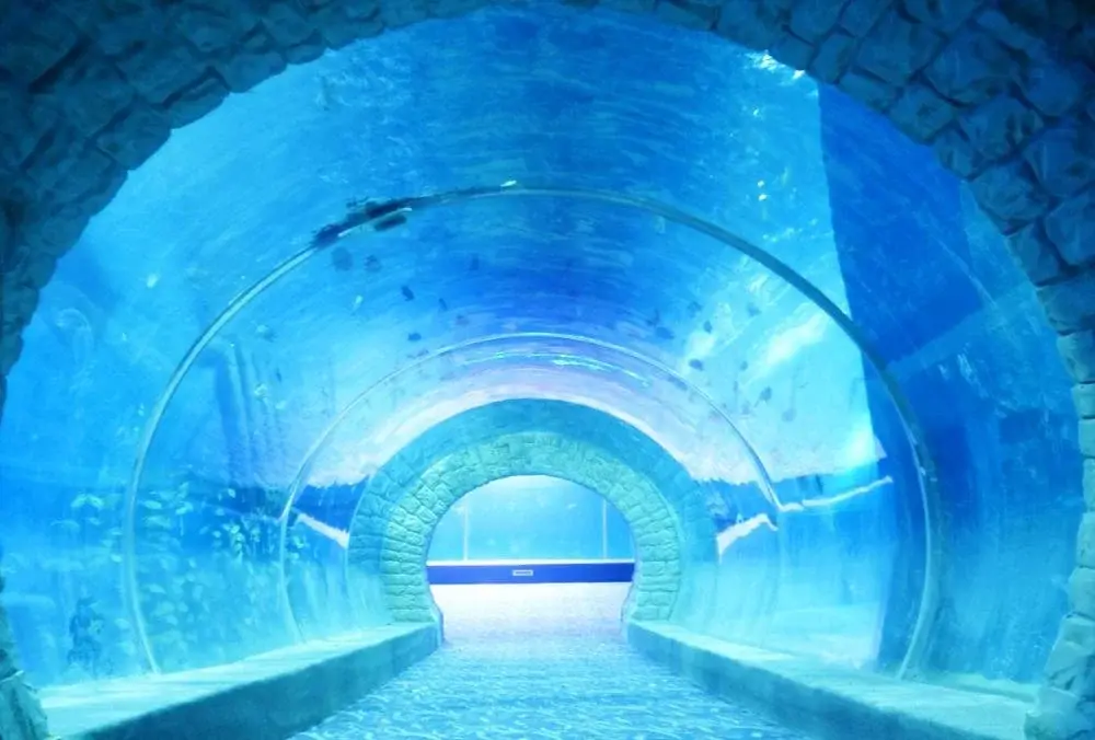 New Acrylic Tunnel Price List 6