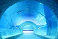 New Acrylic Tunnel Price List 6