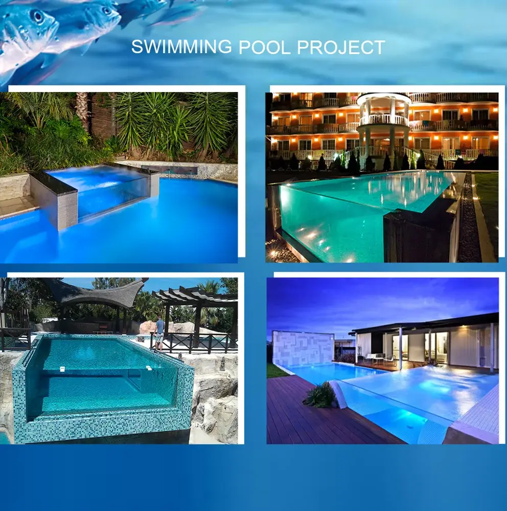 High-quality Above Ground Plexiglass Pools Price List 3