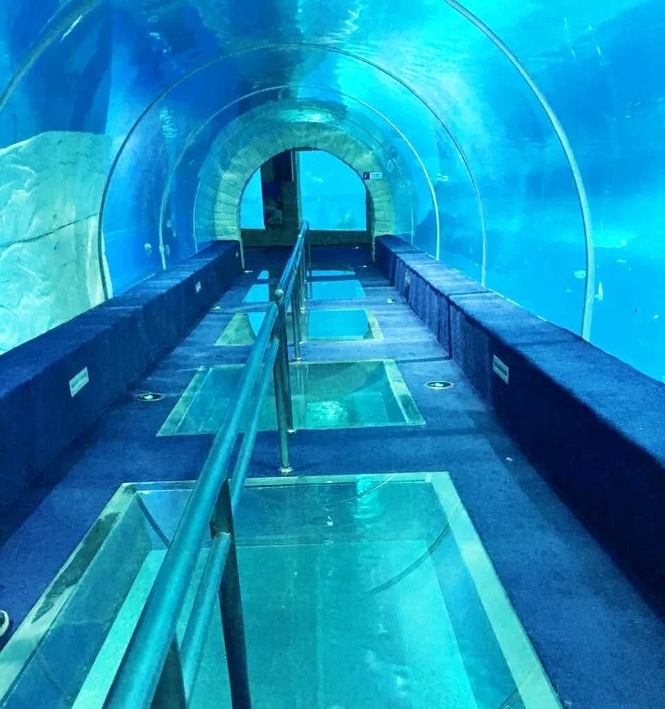Customized Acrylic Aquarium Tunnel On Sale For Acrylic Aquarium Tunnel Project / Acrylic Oceanarium-1745027051484334 5